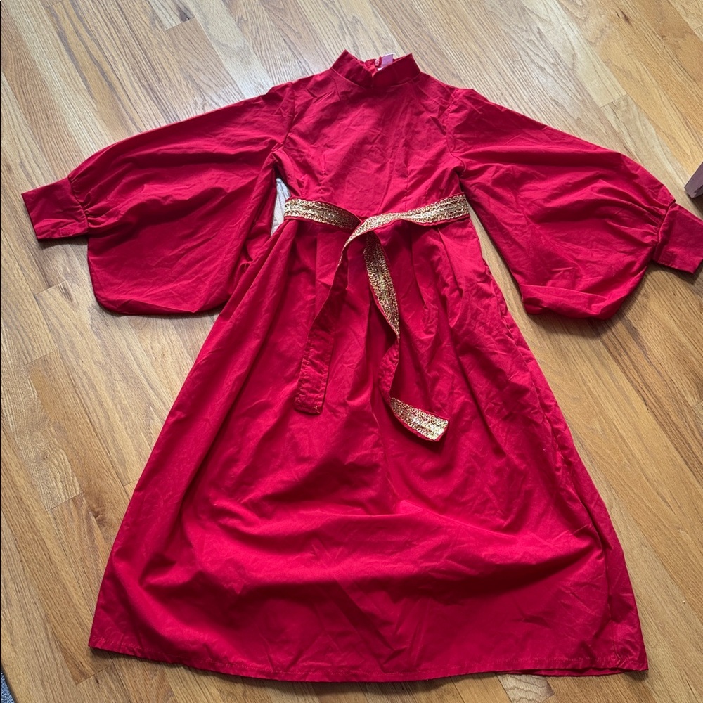 Princess Bride Buttercup costume